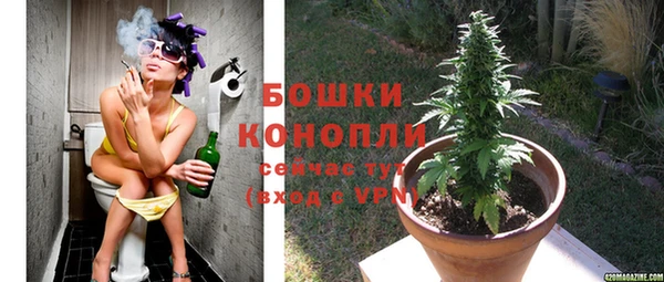 spice Волоколамск